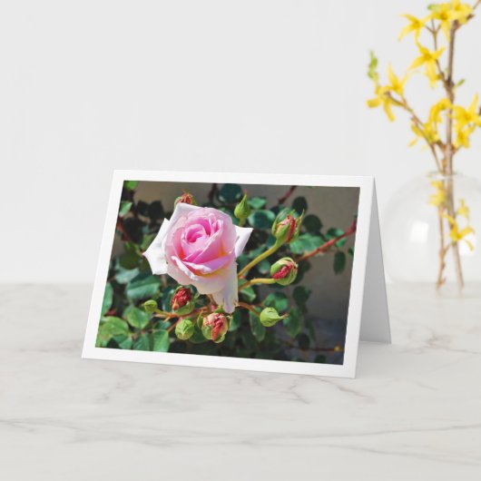 ピンクのバラ カード (黄色い花)
