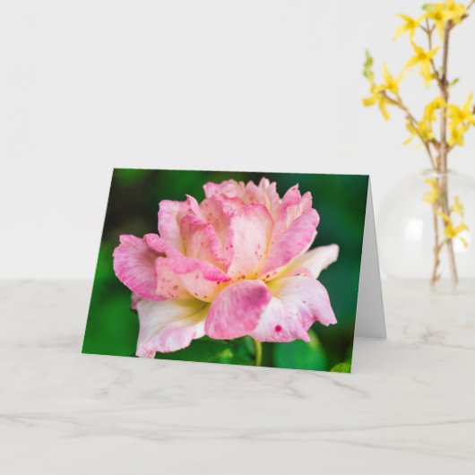 ピンクのバラ カード (黄色い花)