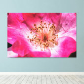ピンクのバラ キャンバスプリント (インサイチュ (ウッドフロア))