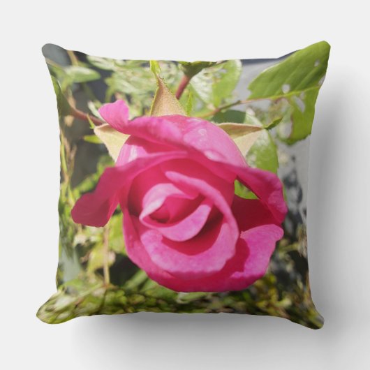 ピンクのバラ クッション (正面)