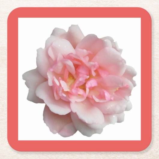 ピンクのバラ スクエアペーパーコースター (正面)