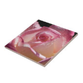 ピンクのバラ-セラミックタイルの結露 タイル (側面)