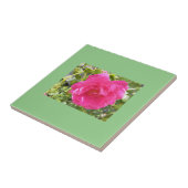 ピンクのバラ タイル (側面)