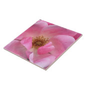 ピンクのバラ タイル (側面)