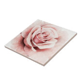 ピンクのバラ タイル (側面)