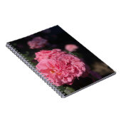 ピンクのバラ ノートブック (右側)