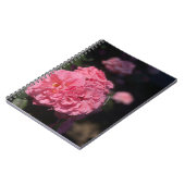 ピンクのバラ ノートブック (左側)