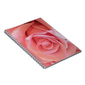 ピンクのバラ ノートブック (右側)