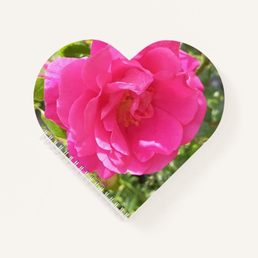 ピンクのバラ ノートブック (正面)