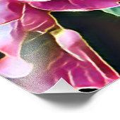 ピンクのバラ フォトプリント            (角)