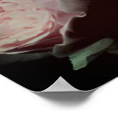 ピンクのバラ・ペア ポスター (角)