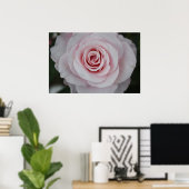 ピンクのバラ ポスター (ホームオフィス)