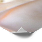 ピンクのバラ ポスター (角)