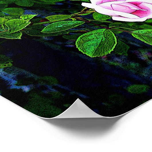 ピンクのバラ ポスター (角)