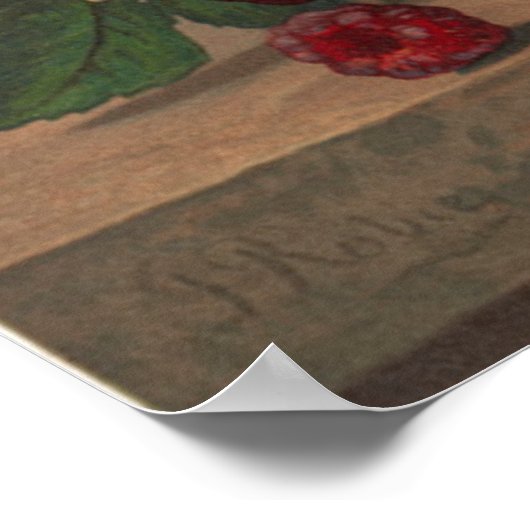 ピンクのバラ ポスター (角)