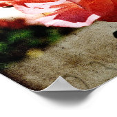 ピンクのバラ ポスター (角)