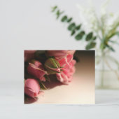ピンクのバラ ポストカード (スタンド正面)