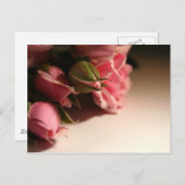 ピンクのバラ ポストカード (正面/裏面)