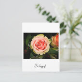 ピンクのバラ ポストカード (スタンド正面)