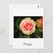 ピンクのバラ ポストカード (正面/裏面)