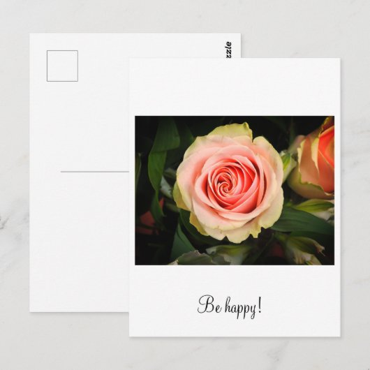 ピンクのバラ ポストカード (正面/裏面)
