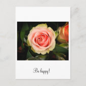 ピンクのバラ ポストカード (正面)