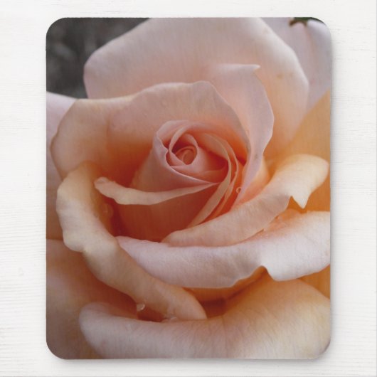 ピンクのバラ マウスパッド (正面)