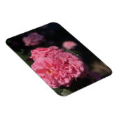 ピンクのバラ マグネット (右側)