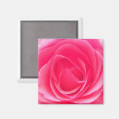 ピンクのバラ マグネット (正面/裏面)