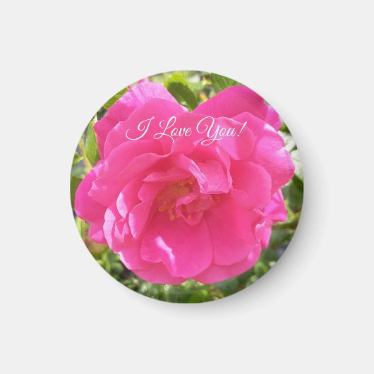 ピンクのバラ マグネット (正面)
