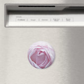 ピンクのバラ マグネット (インサイチュ (食洗機))