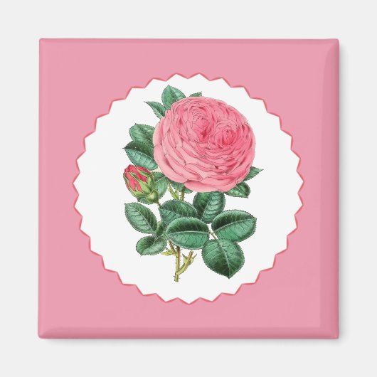 ピンクのバラ マグネット (正面)