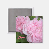 ピンクのバラ マグネット (正面/裏面)