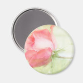 ピンクのバラ マグネット (正面/裏面)