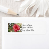 ピンクのバラ ラベル (インサイチュ)