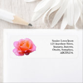 ピンクのバラ ラベル (インサイチュ)