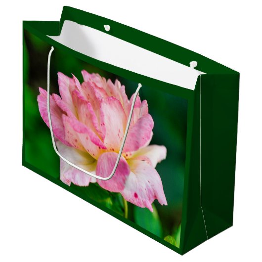 ピンクのバラ ラージペーパーバッグ (正面アングル)