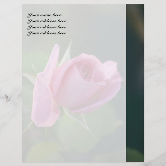 ピンクのバラ レターヘッド (正面)