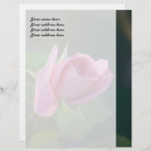 ピンクのバラ レターヘッド (正面/裏面)