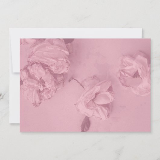 ピンクのバラ　人生の祝福 招待状 (裏面)