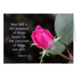 ピンクのバラ、信頼の希望の聖書の詩(ヘブライ)