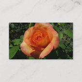 ピンクのバラ 名刺 (裏面)