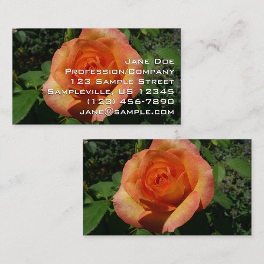 ピンクのバラ 名刺 (正面/裏面)