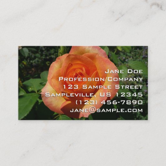 ピンクのバラ 名刺 (正面)