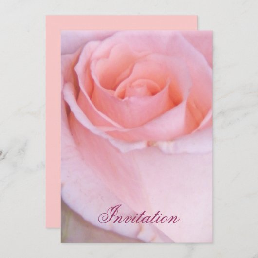 ピンクのバラ_ 招待状 (正面/裏面)