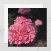 ピンクのバラ 招待状 (正面/裏面)