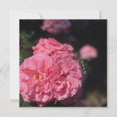 ピンクのバラ 招待状 (正面)