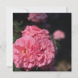 ピンクのバラ 招待状