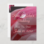 ピンクのバラ 案内ポストカード (正面/裏面)