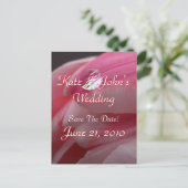 ピンクのバラ 案内ポストカード (スタンド正面)